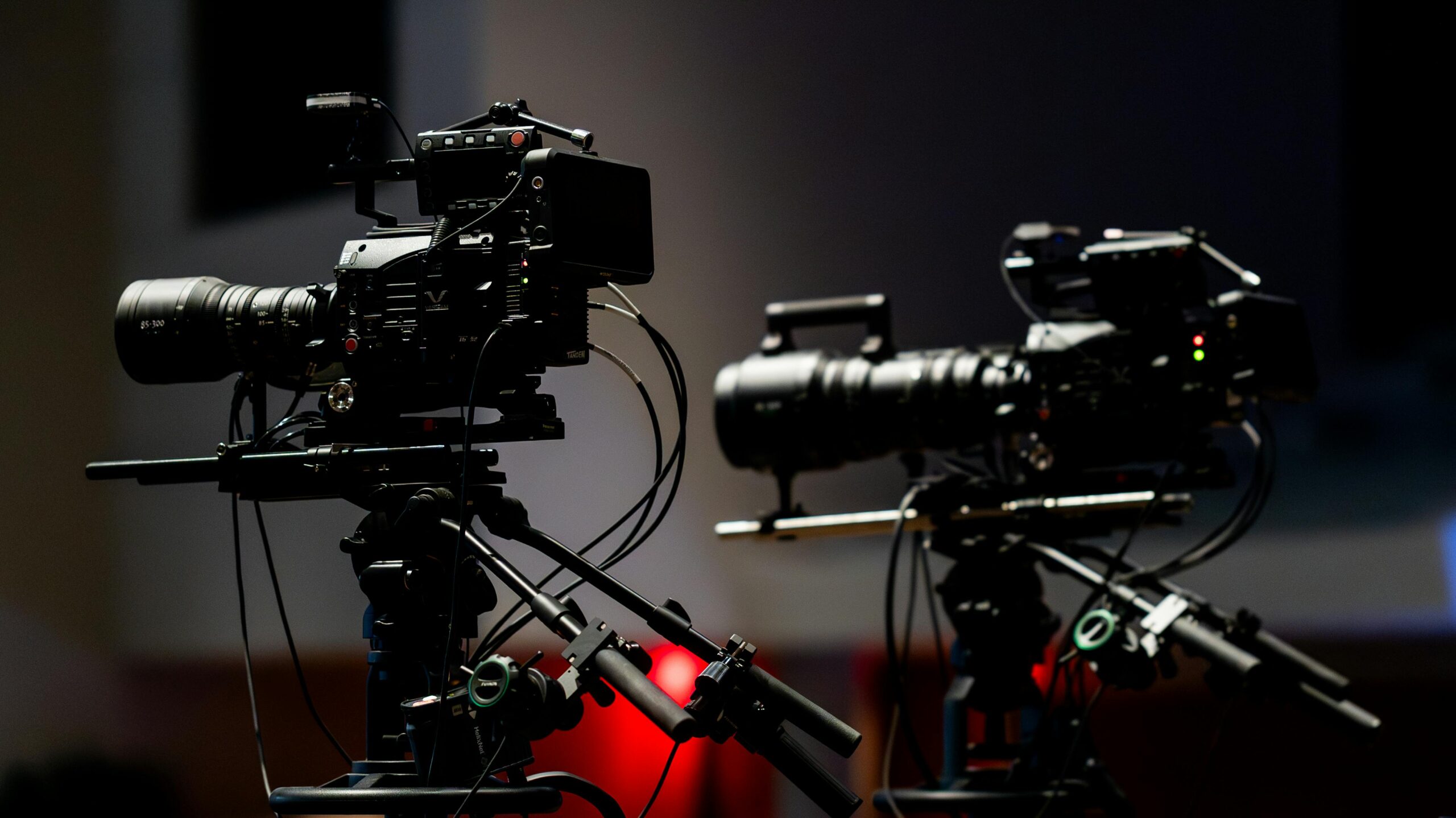 pexels caleboquendo 34516665